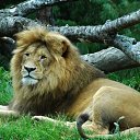 ���� �����, �����-���������, 31 ��� - ��������� 13 �������� 2023 � ������ ���� ����������