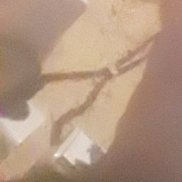 ������, ������, 34 ����