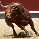 ���� ��������, ������, 76 ��� - ��������� 9 ��� 2023 � ������ ���� ����������