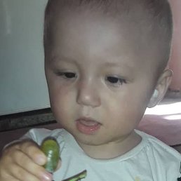 �����, ������, 37 ���