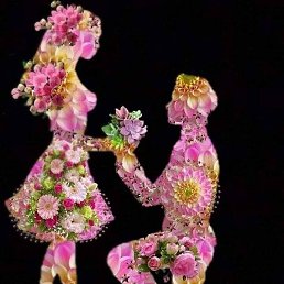 Dili, �������, 42 ����