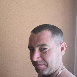 �����, ������, 37 ���