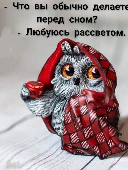   ! - 21  2023  03:23