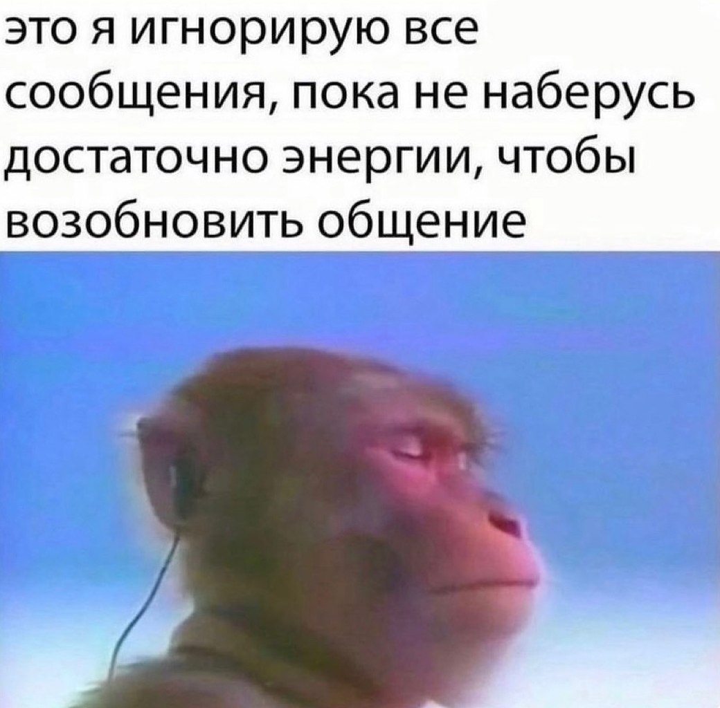 40  - 21  2023  22:08