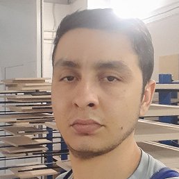 Voxid, ����, 32 ����