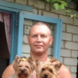 �����, ��������, 49 ���