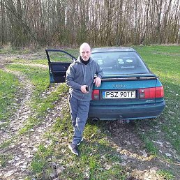 ����������, �������, 46 ���