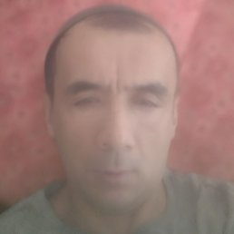 ������, �����, 43 ����