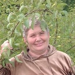 ������, ��������, 61 ���