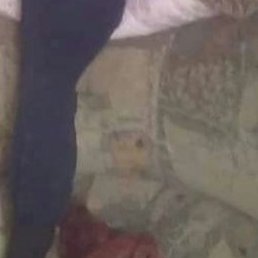 �������, ������, 36 ���