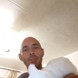 �����, �����-���������, 47 ���