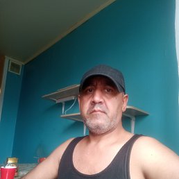 , 51, 