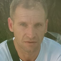 �������, ������, 40 ���