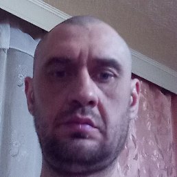 �������, ��������, 46 ���