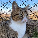 ���� �����, ������, 26 ��� - ��������� 5 ������� 2023 � ������ ���� ����������