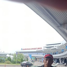 ���� �����, �����, 41 ��� - ��������� 28 ���� 2023