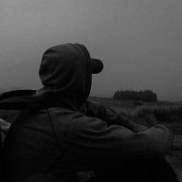 �����, ������, 56 ���