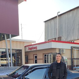 �����, �������, 55 ���