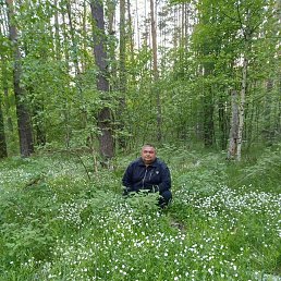 ��������, ������, 55 ���