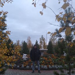 ������, ������ ��������, 38 ���