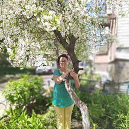 ���� �������, ������, 58 ��� - ��������� 22 ���� 2023