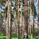 ���� �����, ������, 55 ��� - ��������� 27 ��� 2023 � ������ ���� ����������