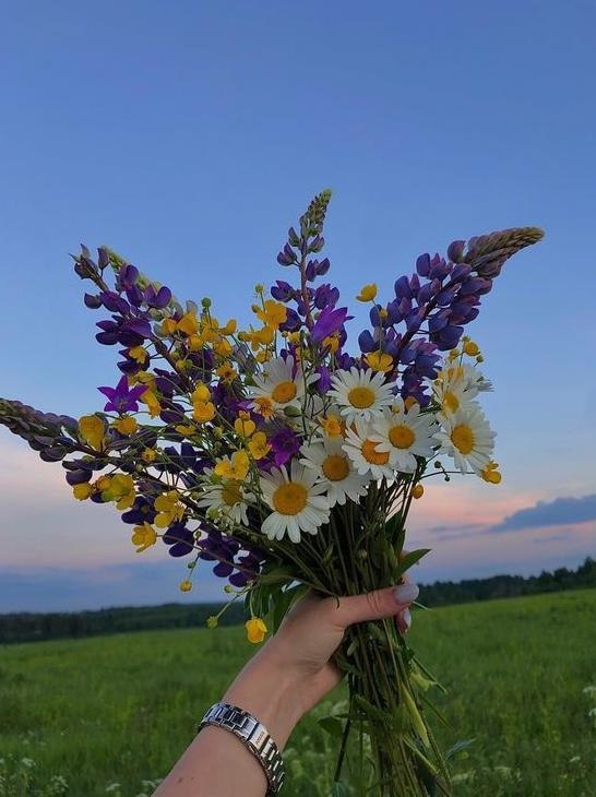 Handmade Club | ���� ��������.���y� - 2
