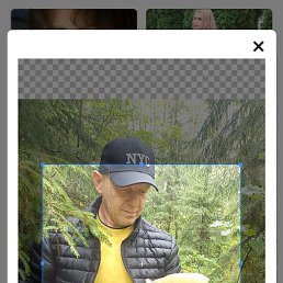 ������, ������, 51 ���