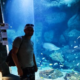 �������, ������, 44 ����