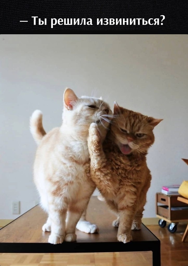       - 22  2023  17:07 - 2