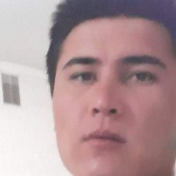 Doni, �����������, 38 ���