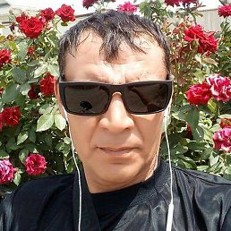 ������, ����� (�������), 46 ���