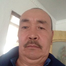 �������, �������, 56 ���