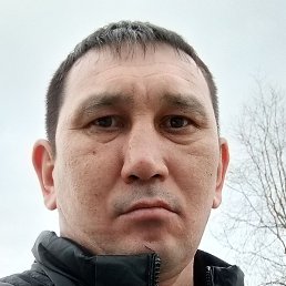 �����, ������, 41 ���