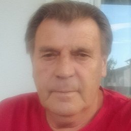 ����, ������, 65 ���