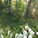  , -, 47  -  11  2023