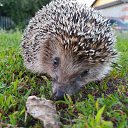 ���� �����, ��������, 32 ���� - ��������� 16 ������ 2023 � ������ ���� ����������