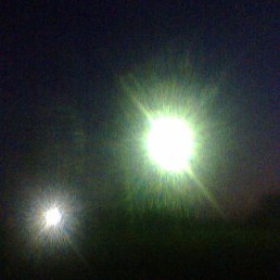 �������, �������, 39 ���