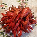 ���� ��������, �����, 42 ���� - ��������� 6 ��� 2023 � ������ ���� ����������