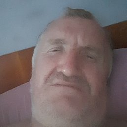 ����, �������, 49 ���