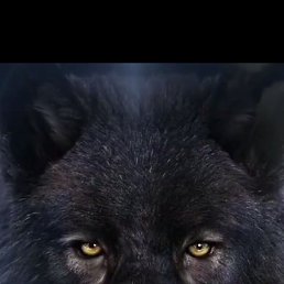 ����, �������, 48 ���