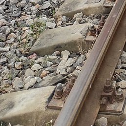 �����, �������, 47 ���