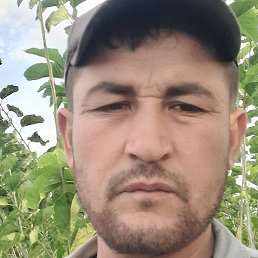 ������, �����, 38 ���