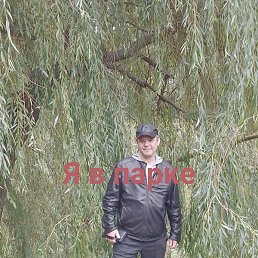 �����, ������, 53 ����