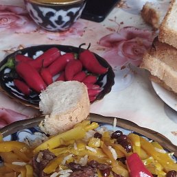 ������, �������, 37 ���