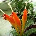 ���� ������, ������, 67 ��� - ��������� 2 ������� 2023 � ������ ���� ����������