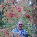 ���� ������, ���� - ��������� 7 ��� 2023 � ������ ���� ����������