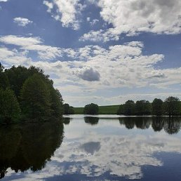 ����� �� �����, �������, 49 ���