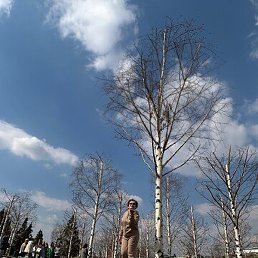 �����, �������, 50 ���