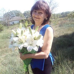 , 59, 